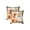 E, variant on Fall Harvest Throw Pillow Covers 18x18 Inch Set of 2, Printed Pumpkin Decorative Square Pillowcases, Farmhouse Holiday Cushion Covers for Sofa Living Room Home Fall Halloween Thanksgiving Decor