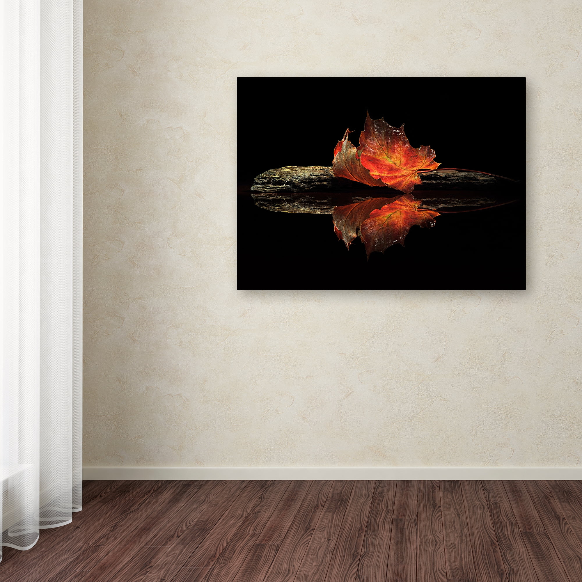 Trademark Fine Art 'Autumn Colors' Canvas Art by Aida Ianeva