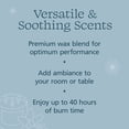 thumbnail image 4 of Mainstays Salted Driftwood Scented 1-Wick Glass Candle, 7 oz, 4 of 9