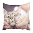 thumbnail image 1 of BOSDECO Housse de Coussin Chat Adorable dans des Mains Humaines 16x16 Pouces, 1 of 2