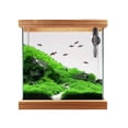 thumbnail image 2 of Pequeño acuario calentador de agua sumergible enchufe estadounidense, termostato automático, 25 W / 50 W (opcional) 50w Sunnimix Dispositivo de calentamiento de acuario pequeño, 2 of 8
