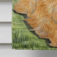 thumbnail image 4 of Carolines Treasures SS8035CHF Drapeau en Toile Taille Maison, 4 of 4