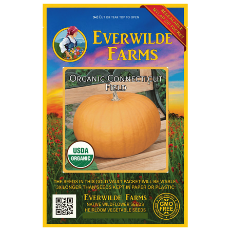 - Everwilde Farms - 10 Organic Connecticut Field Pumpkin Seeds - Gold Vault Jumbo Bulk Seed Packet
