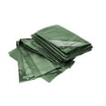 thumbnail image 1 of Bâches Robustes 15 x 20 Pi Rainexo 90 G/m2 - Vert, 1 of 1
