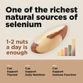 thumbnail image 4 of Raw Brazil Nuts 32 oz Batch Tested Gluten & Peanut Free No PPO Non GMO Distinct and Superior to Natural Kosher IM A NUT, 4 of 9