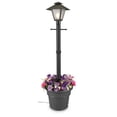 thumbnail image 3 of Patio Living Cape Cod 66001 - White - Single Coach Lantern Planter-Color:Black, 3 of 3