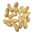 thumbnail image 4 of Peanuts in Shell for Squirrels, Birds, Deer, Chipmunks, Raccoons and Outdoor Wildlife, 1 Pound, 4 of 7