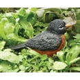 thumbnail image 3 of Michael Carr Designs Critter Chirper Collection Robin Lawn Figurine, 3 of 3