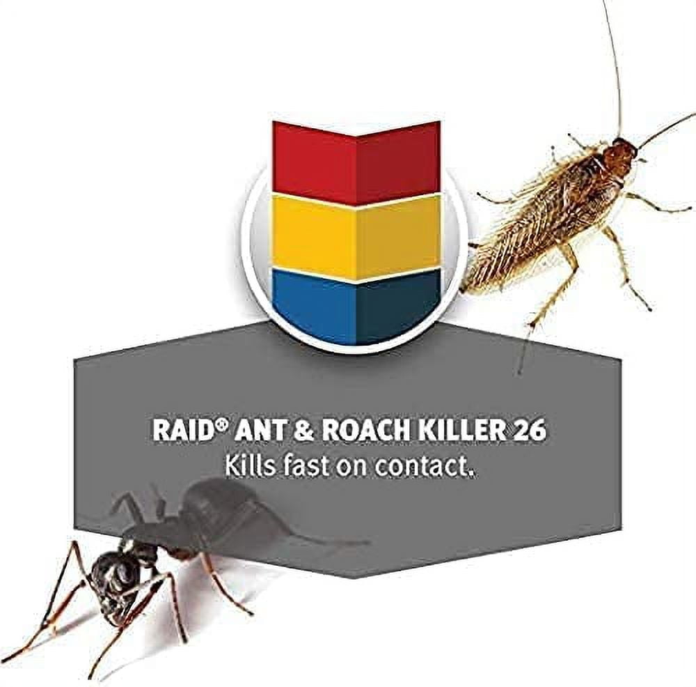 Raid Ant and Roach Killer Spray, Outdoor Fresh Scent, 17.5 Ounce (3 Pack)