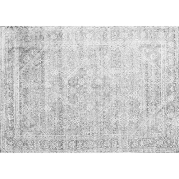 Ahgly Company Indoor Rectangle Persian Gray Traditional Area Rugs, 2' x 5'