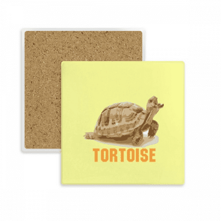 

Cuckold Hard Land Tortoise Coaster Cup Mat Mug Subplate Holder Insulation Stone