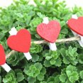 thumbnail image 3 of Kearding Mini Clip en forma de corazón de 2,5mm, calcetines de amor, estandarte de fotos, pinza para ropa artesanal, Pin para decoración para fiesta de Decoración del hogar  100 piezas Kearding HA079930-02, 3 of 6