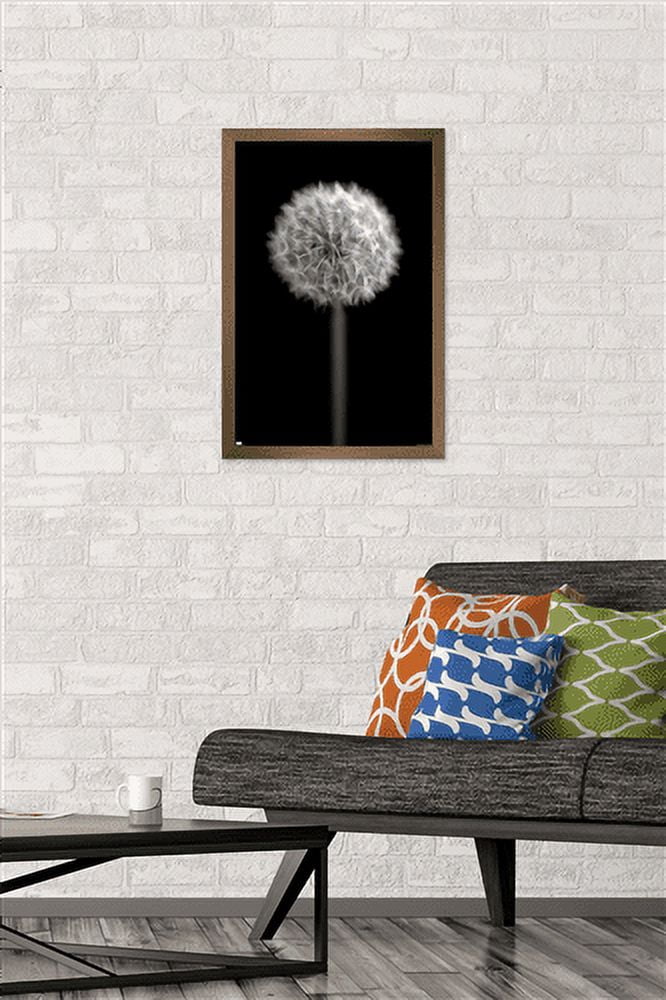 Tom Quartermaine - Black and White Dandelion Wall Poster, 14.725" x 22.375", Framed