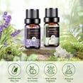 thumbnail image 2 of Set de aceites esenciales Aeshory, kit de aromaterapia de 12 x 5 ml, 2 of 7