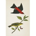 thumbnail image 2 of Wild Apple Portfolio 11x14 Gold Ornate Wood Framed with Double Matting Museum Art Print Titled - Scarlet Tanager Bright, 2 of 4