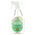 thumbnail image 1 of Earth Friendly Stain and Odor Remover Spray - 22 fl oz, 1 of 1