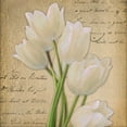 thumbnail image 2 of Greene, Taylor 12x12 White Modern Wood Framed Museum Art Print Titled - WHITE TULIP  ON GOLD A, 2 of 4