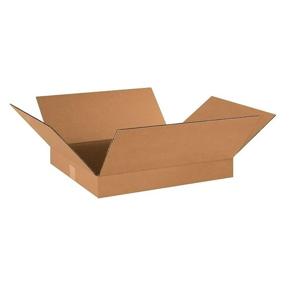 Flat Corrugated Boxes, 18"x16"x2", 25-Pack – Thin Mailers for Art, Photos, Prints (Model 18162)