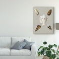 thumbnail image 3 of Trademark Fine Art 'Shells on Linen II' Canvas Art by Vision Studio, 3 of 4
