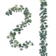 thumbnail image 1 of Guirnalda artificial de eucalipto FUGZAUD en forma de dólar plateado de 12 pies, paquete de 2, 1 of 7
