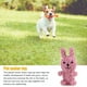 thumbnail image 3 of Cuerda de algodón para perros, palo masticable divertido para quitar la suciedad, juguetes molares al azar Hugtrwg Para estrenar, 3 of 4