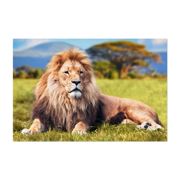 The Lion King - Photography Wildlife Animal Nature Wilderness Portrait Scenic Unframed Wall Art Print 4 x 6 inches