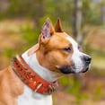 thumbnail image 4 of Pet Artist Spiked Studded Genuine Leather Dog Collar Large Dog Heavy Duty Training for Pitbull Boxer, 4 of 8