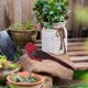 thumbnail image 3 of Adornos Simulados de Estilo para Decoración de Jardines Exteriores, 3 of 6