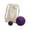 Purple, variant on Vsenkes 2 Pieces Massage Balls Compact Myofascial Balls for Exercise Lower Back Foot