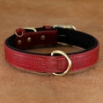 thumbnail image 2 of Didog Soft Leather Dog Collar Heavy Duty Durable Brass Buckle for Small Medium Large Dogs Brown Red Green, 2 of 6