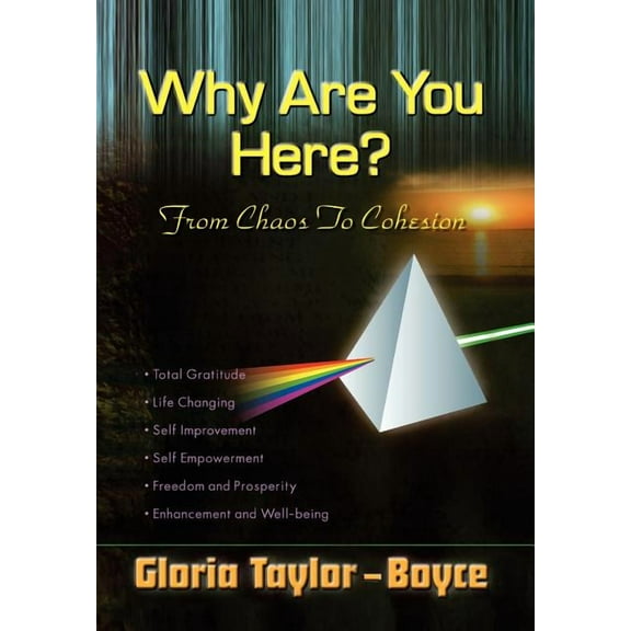 Why Are You Here? (Hardcover)