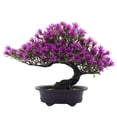 thumbnail image 1 of Naiovety Plantas artificiales Bonsai Tree Faux Pine Planta de plástico interior realista en maceta Home Office Party Hotel Decoración Decoración Rojo púrpura, 1 of 6
