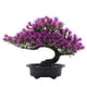 thumbnail image 5 of Plantas artificiales Bonsai Tree Injueey Planta de interior realista para el hogar Oficina Decoración de escritorio, 5 of 6