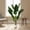 A, variant on Lifelike Artificial Monstera Plant in White Planter – 4FT Large Faux Exotic Palm Tree with 12 Evergreen Leaves, UV-Resistant, Easy Care Greenery for Indoor Home, Office, Garden – Monstera, Single