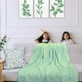 thumbnail image 6 of Sage Green Throw Blanket - Comfy Soft Fluffy Smooth Washable Warm Luxury Thick Accent Throws Blankets for Sofa, Beds, Couch, Luxurious Home Bedroom Room Decor 50"x60" Sage Green Room Decor, 6 of 6
