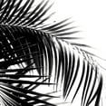 thumbnail image 3 of Society6 Anita'S & Bella'S Artwork Palm Leaves Black White Vibes Shower Curtain 71" x 74", 3 of 3