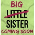 thumbnail image 2 of Big Sis Little Sister Coming Soon Bodysuit Jumper Girls Infant Baby Brisco Brands 12M, 2 of 6