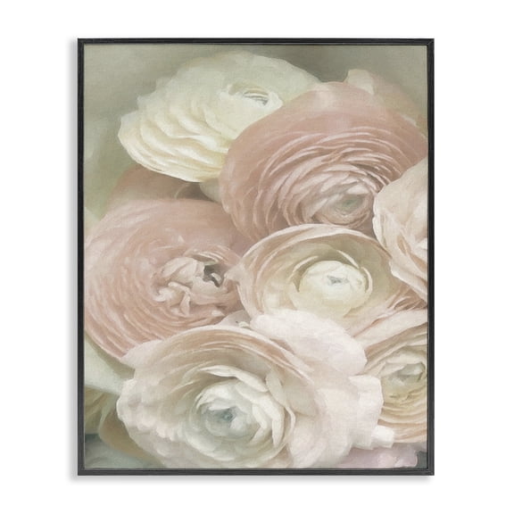 Stupell Industries Traditional Ranunculus Blooms Pattern Black Framed Giclee Art, 11 x 14, by Graffitee Studios