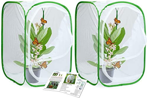 RESTCLOUD Insect and Butterfly Habitat Cage Terrarium Pop-up 23.6 Inches Tall 