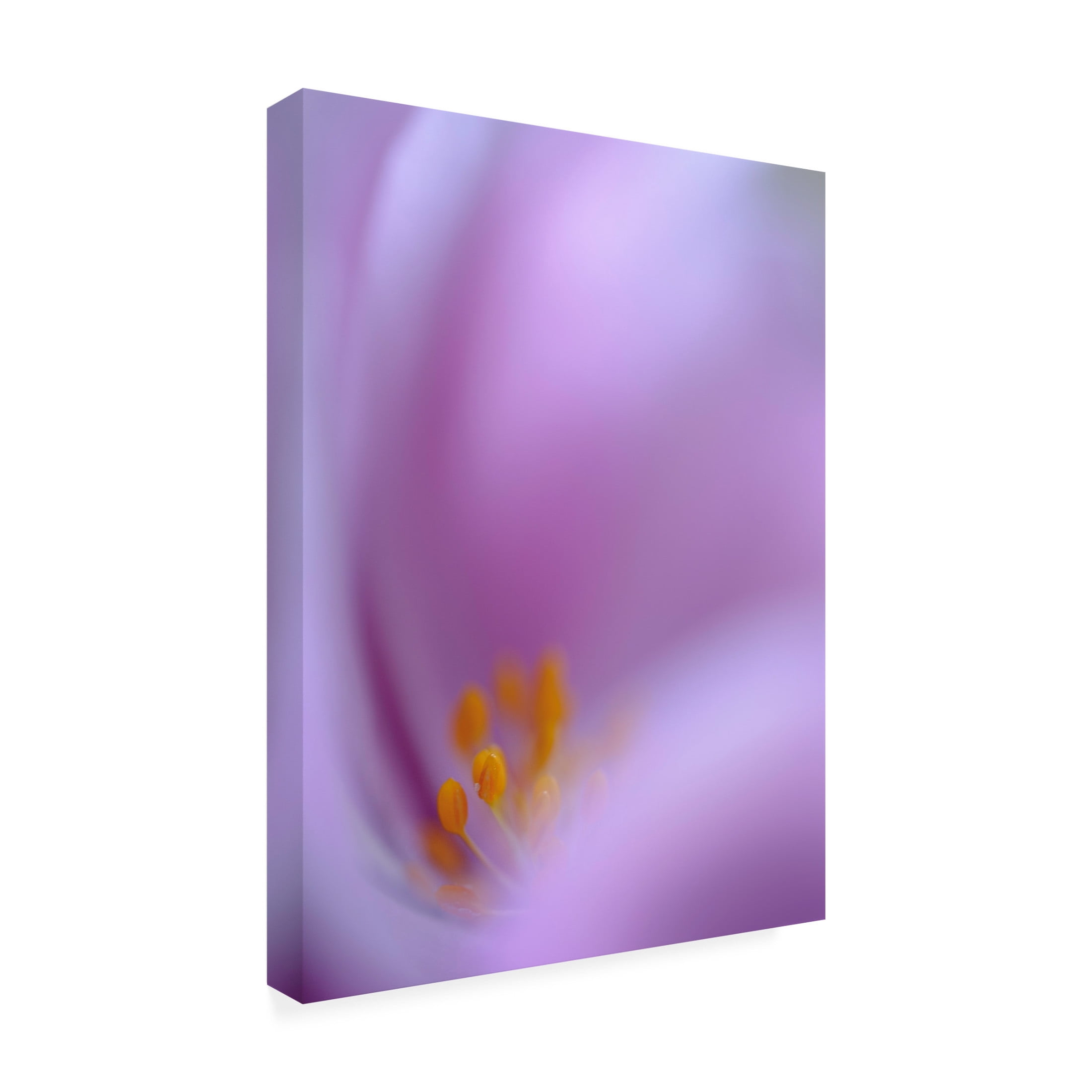 Canvas Wall Art - Jealousy 'Secret Dream' Wall Art for Living Room, Bedroom, or Office Décor by Trademark Fine Art - 14 x 19 Inches