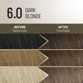 thumbnail image 3 of Il Salone Milano Plex Rebuilder Permanent Hair Color Kit - 6.0 Dark Blonde, 3 of 11