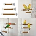 thumbnail image 2 of Bird Grinding Swing Bird Perch Stand Suction Cup Parrots Grinding Scratchers Cage Toy Grinding Scratchers Perch, 2 of 9