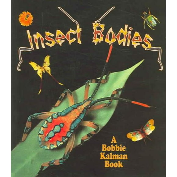 Insect Bodies, Bobbie Kalman, Molly Aloian Paperback