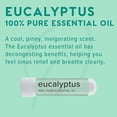 thumbnail image 3 of MOXE Nasal Stick Inhaler Eucalyptus Essential Oil Scent , 3 Pack, 3 of 7