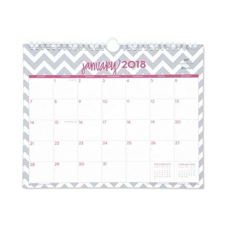 Blue Sky BLS102141 Dabney Lee Ollie Wirebound Wall Calendar, 11 X 8 3/4, 2018