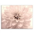 thumbnail image 3 of 32" x 24" Pink Dahlia 2 by Judy Stalus - Wall Art Print on Canvas Fabric White, 3 of 3