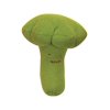 Organic Fruit and Veggie Toys - Broccoli - 5"