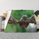 thumbnail image 1 of Fotbe Australian White Tree Frog Sitting on Branch Manta de Franela con Estampado, Manta Ultrasuave para Cama, Sofá, Auto, Hipoalergénica y Antibolitas-60"x50", 1 of 6