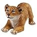 thumbnail image 3 of Design Toscano QM28733 Lion Cub of The Sahara Animal Statue: Tibesti, Full Color, 3 of 4