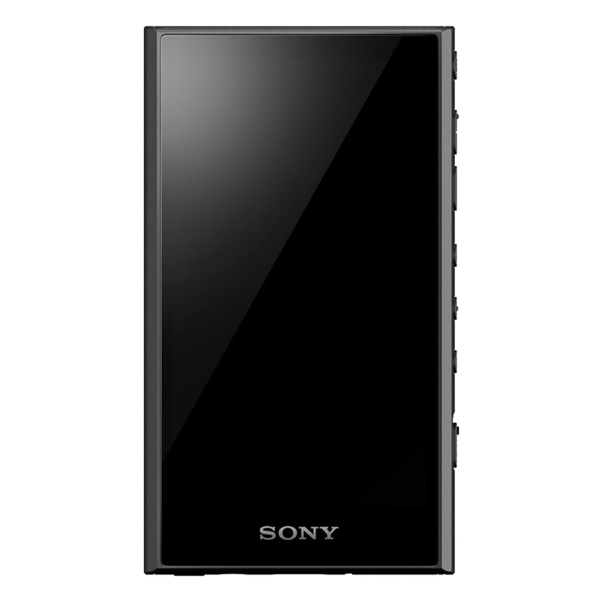 Sony NW-A306 Walkman Portable Hi-Res Audio Player with WiFi Sony NW-A306 Walkman Portable Hi-Res Audio Player with WiFi